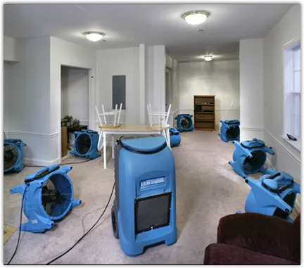 Odor Removal & Deodorization in Munster, IN