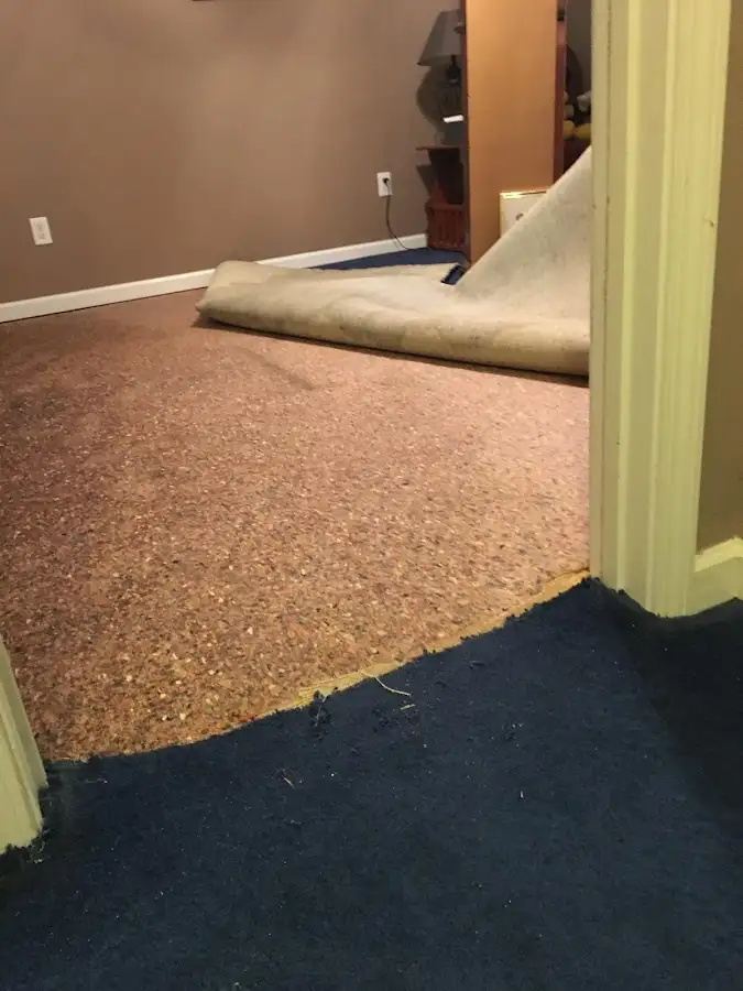 Carpet pad removal revealing water damage during Water Mitigation Services in Munster
