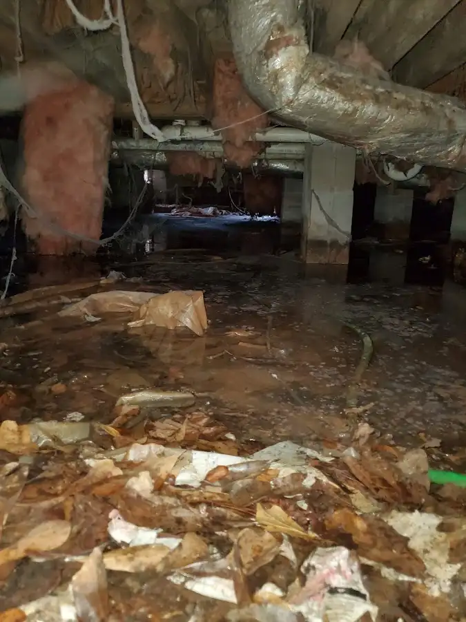 Crawl space flood assessment for Commercial Water Damage Restoration in Munster