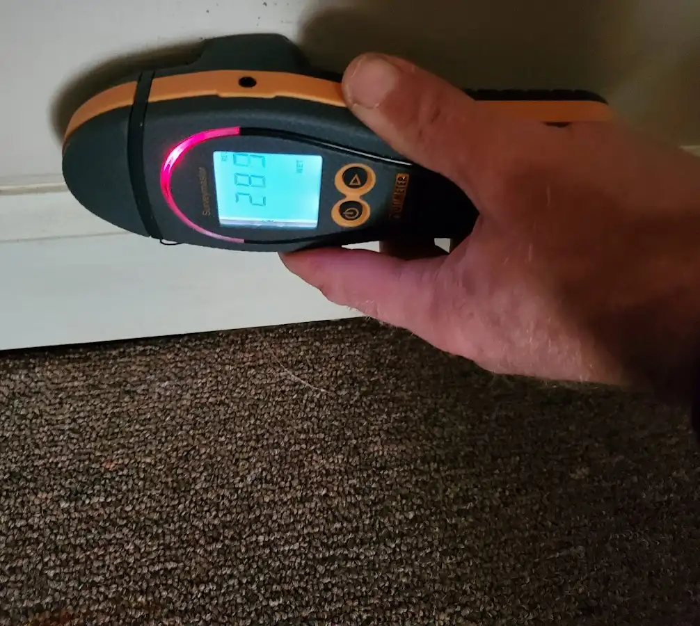 Moisture detection at baseboard during Mold Inspection & Testing in Munster